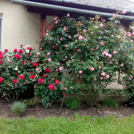 Uj Elet Weekend House *