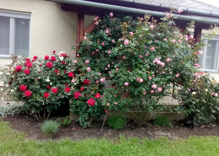 Uj Elet Weekend House *