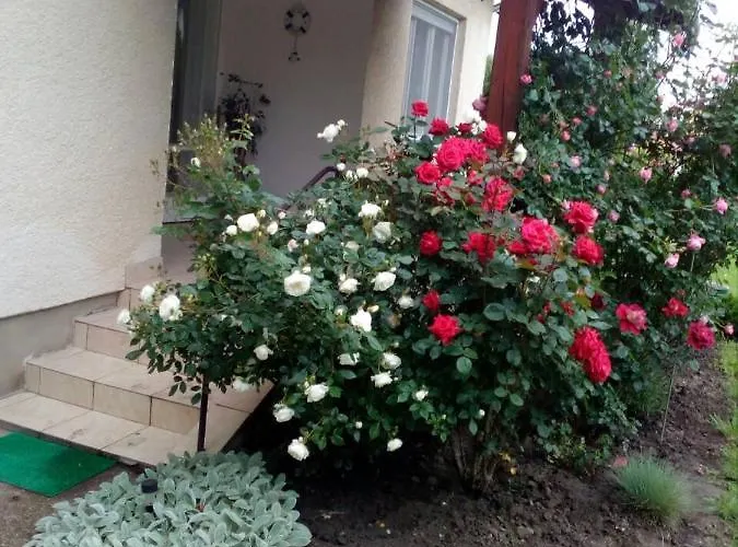 Uj Elet Weekend House Balatonkeresztúr